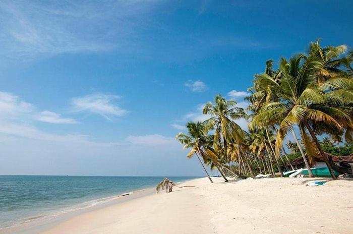 ماراريكولام Marari Beach Clleetus Homestay المظهر الخارجي الصورة